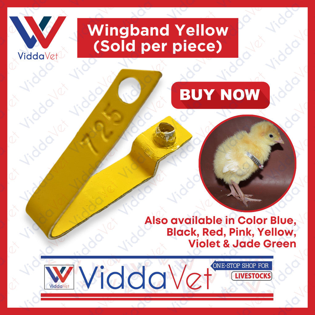 Wingband Yellow 1pc