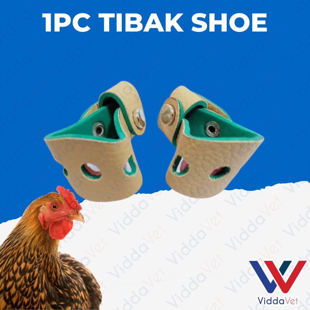 Tibak Shoe 1pc