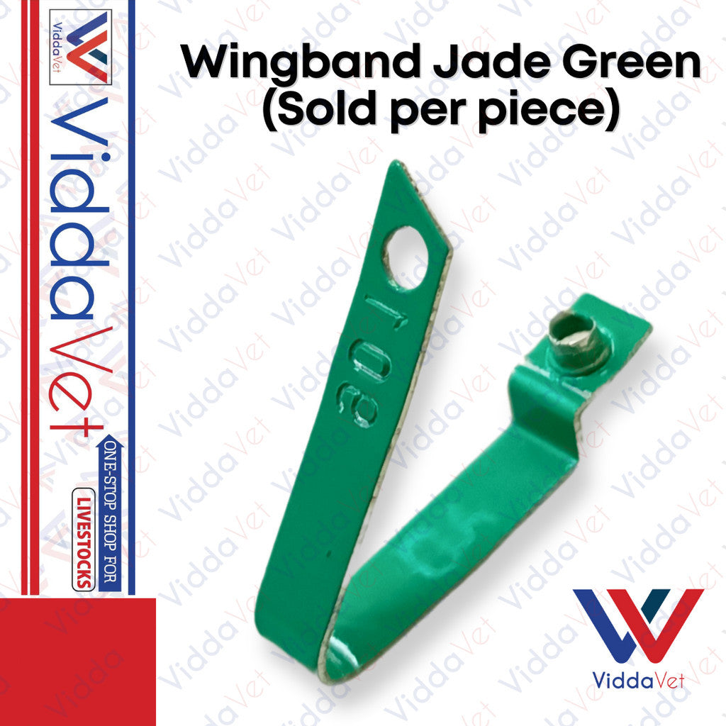 WingBand Green 1PC