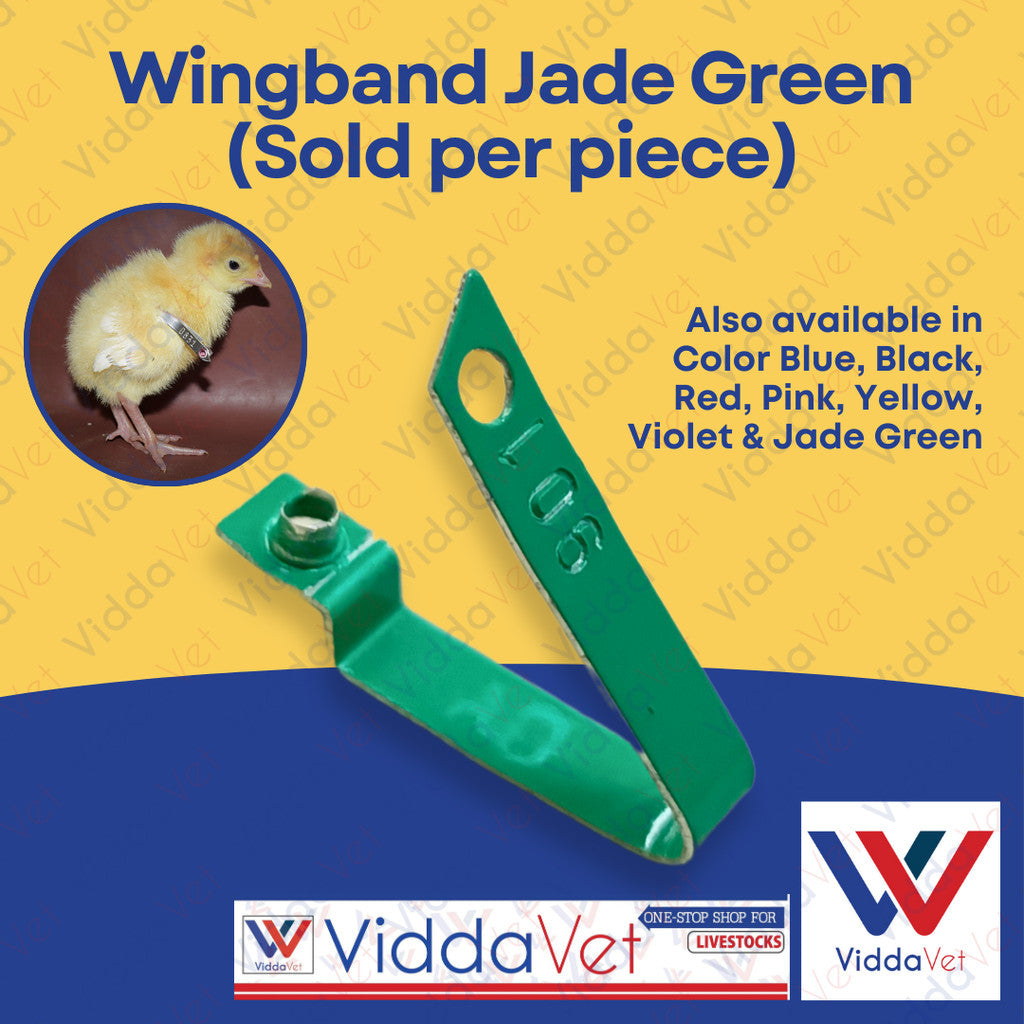 WingBand Green 1PC