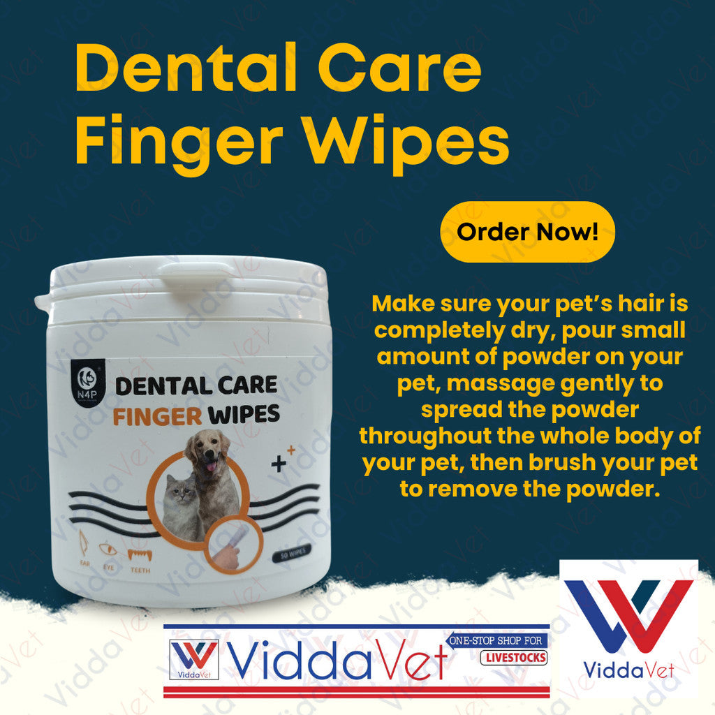 Dental Care Finger Wipes