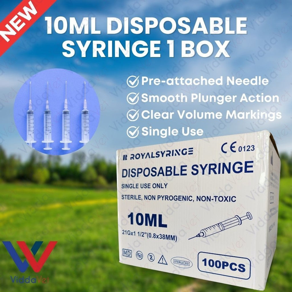 10ml Disposable Syringe (1Box100Pcs)