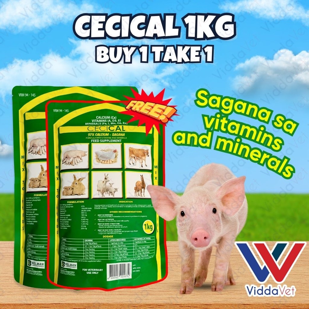 Cecical Powder Buy 1 Take 1 1kg