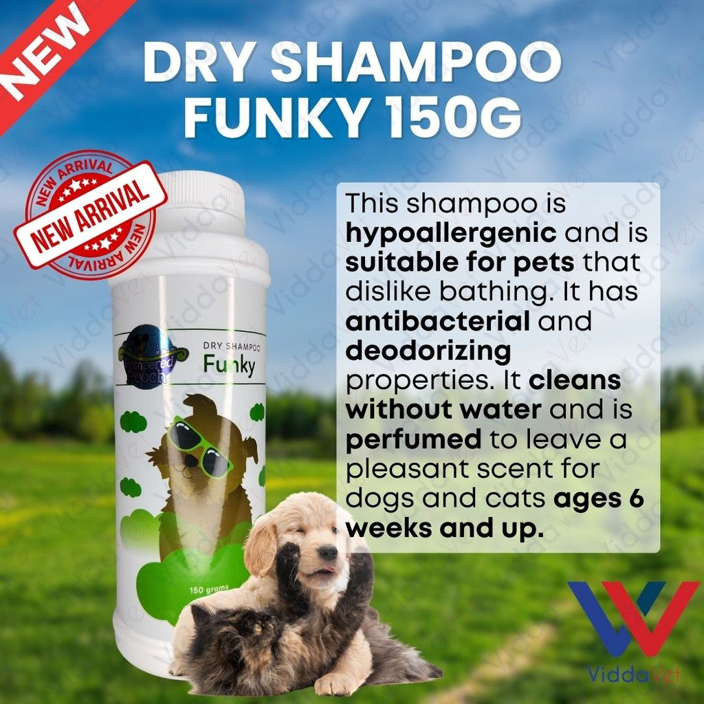 Funky Dry Shampoo 150Grams