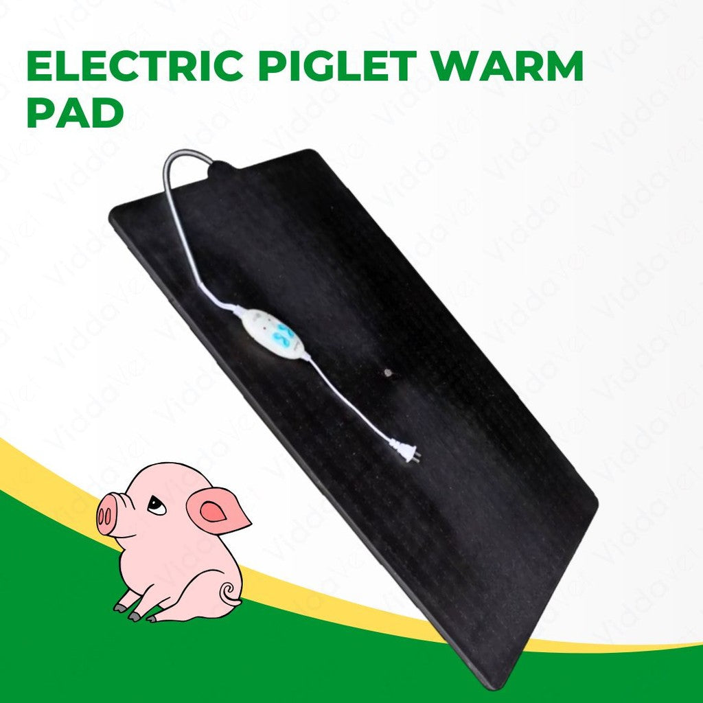 Piglet Electric Heating Warm Pad