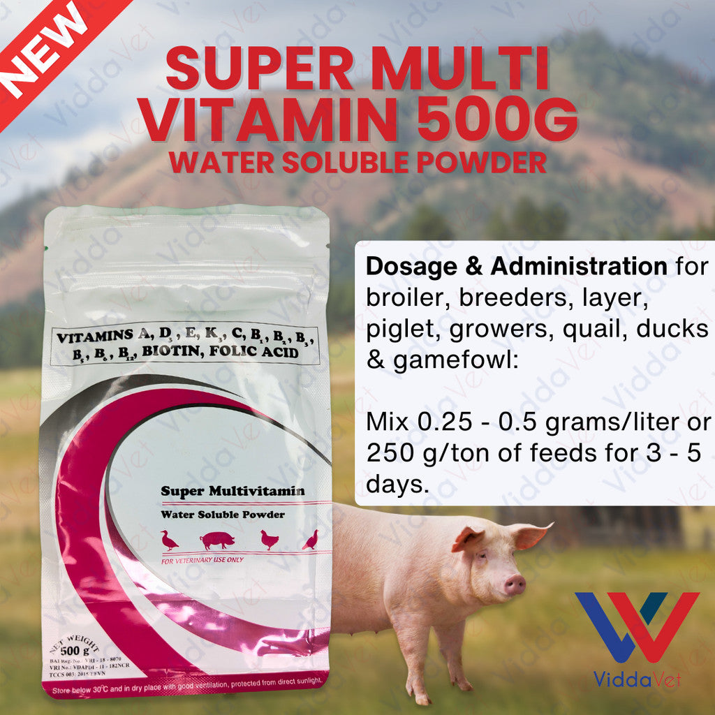 Super Multivitamin 500Grams