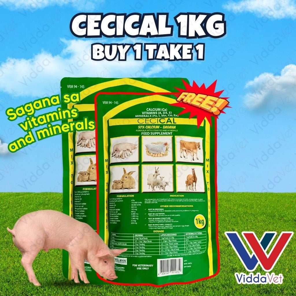 Cecical Powder Buy 1 Take 1 1kg