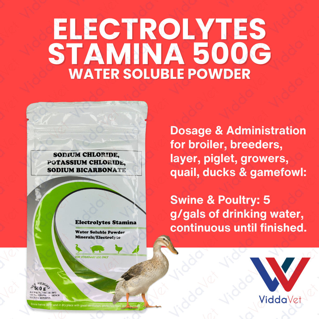 Electrolytes Stamina 500Grams
