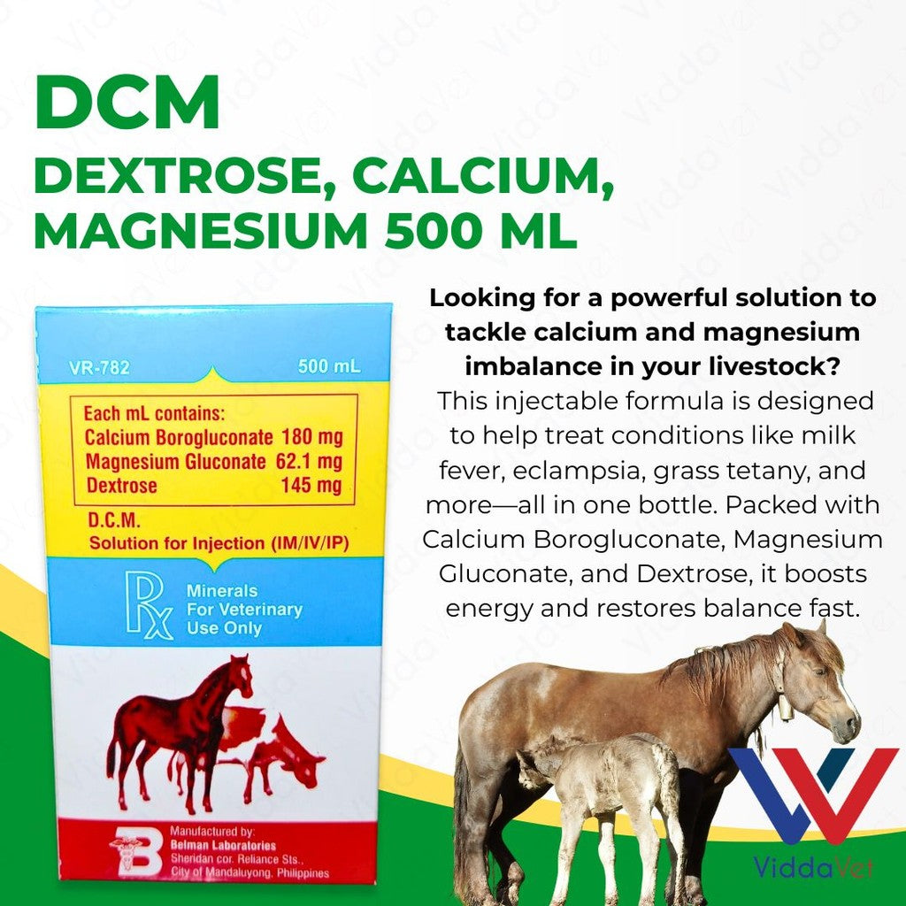 DCM Solution for Injection 500 ml