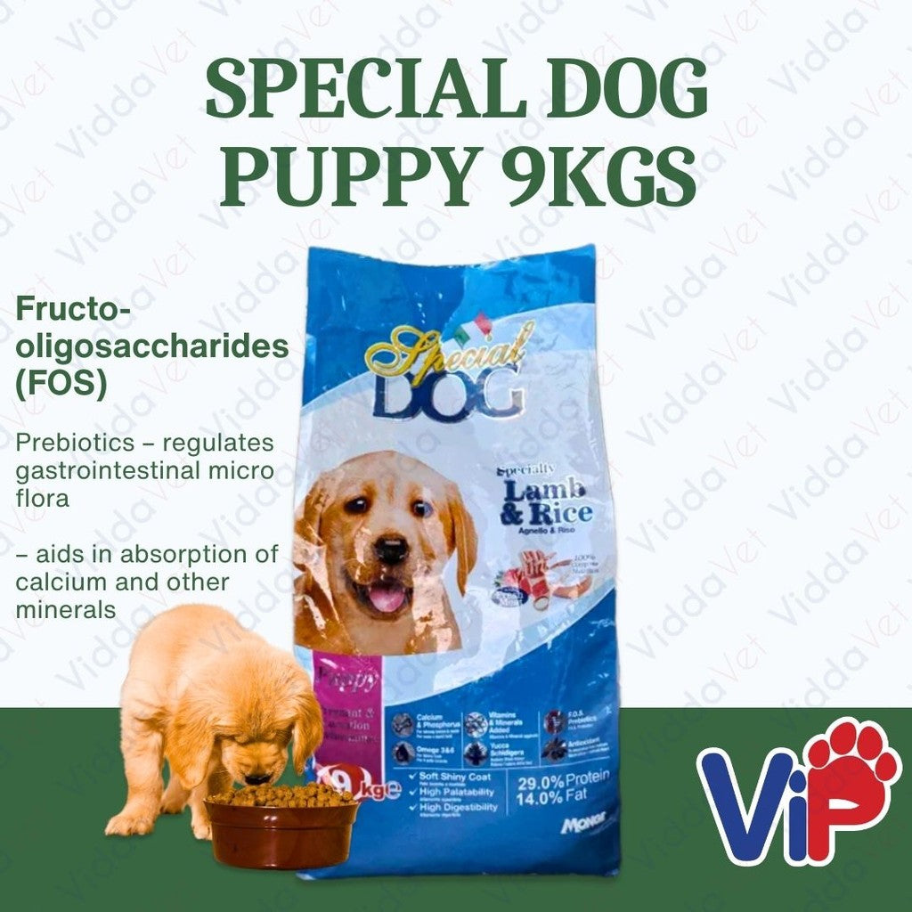 Special Dog Puppy 9KG