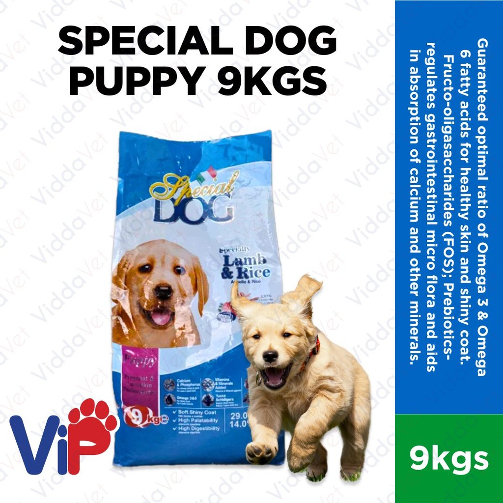 Special Dog Puppy 9KG