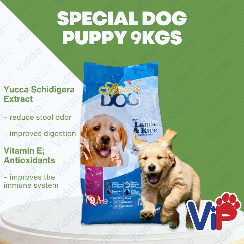 Special Dog Puppy 9KG