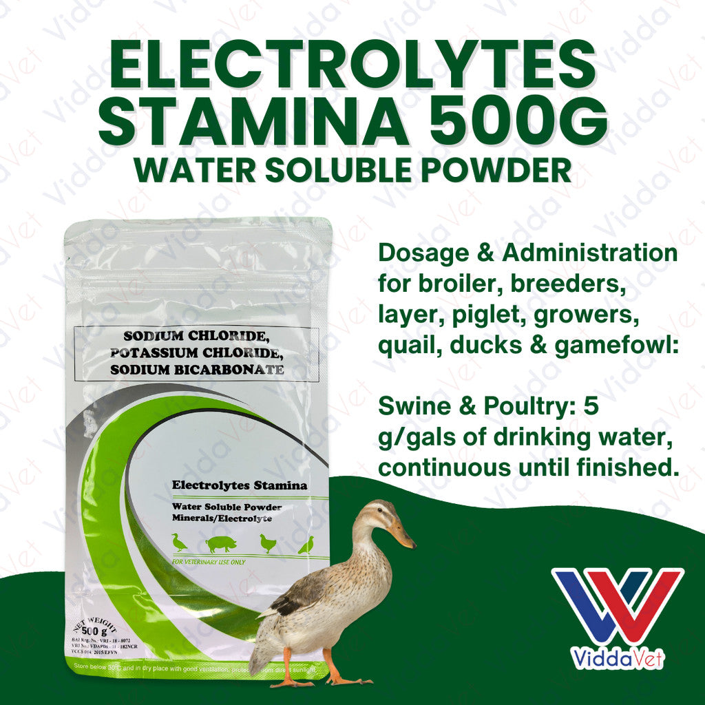 Electrolytes Stamina 500Grams