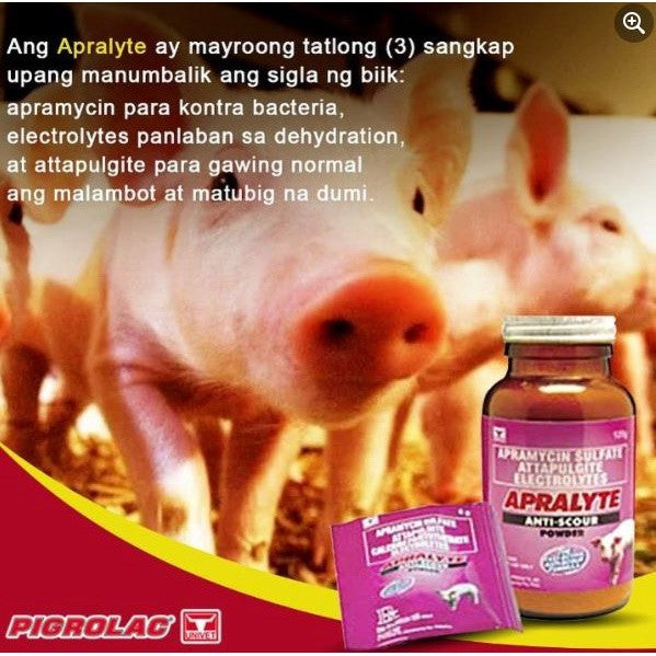 Apralyte 6g (48pcs)1box