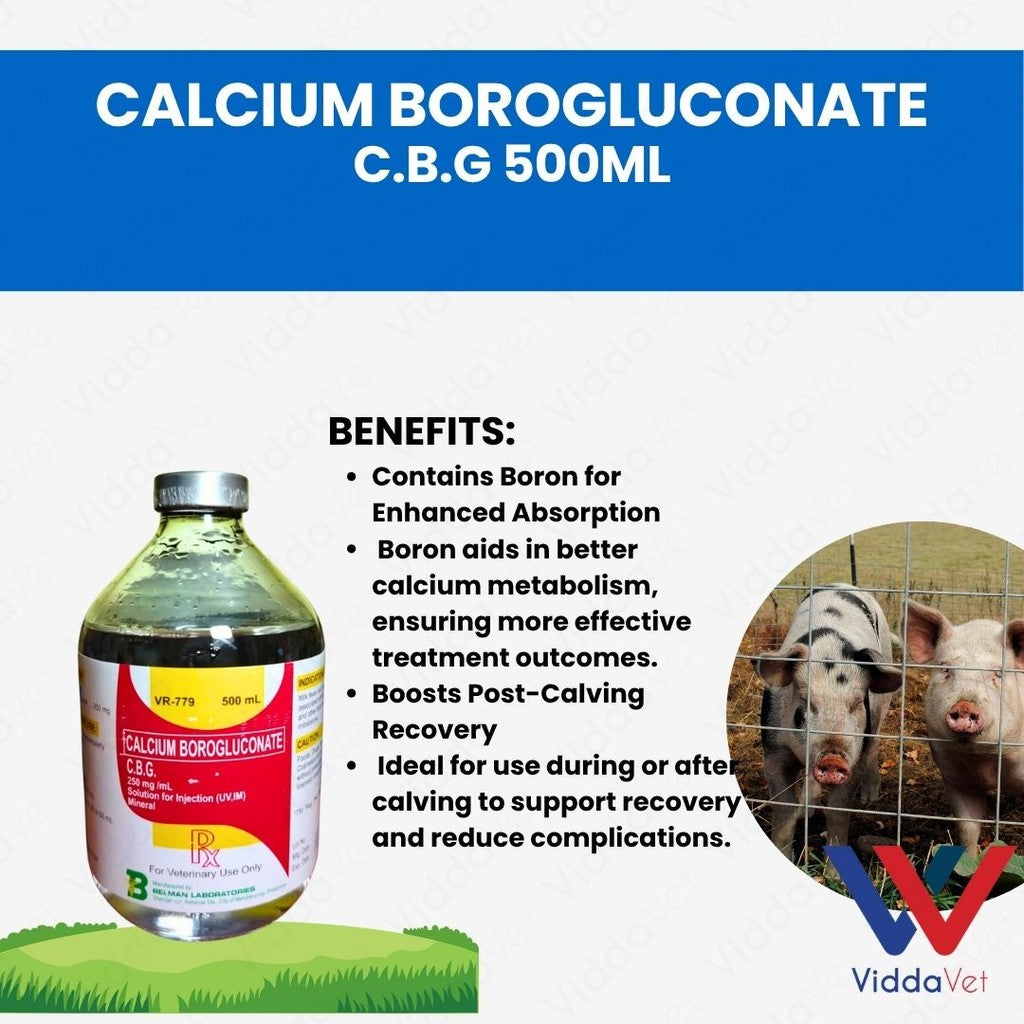Calcium Borogluconate C.B.G. 250mg/mL Solution 500mL