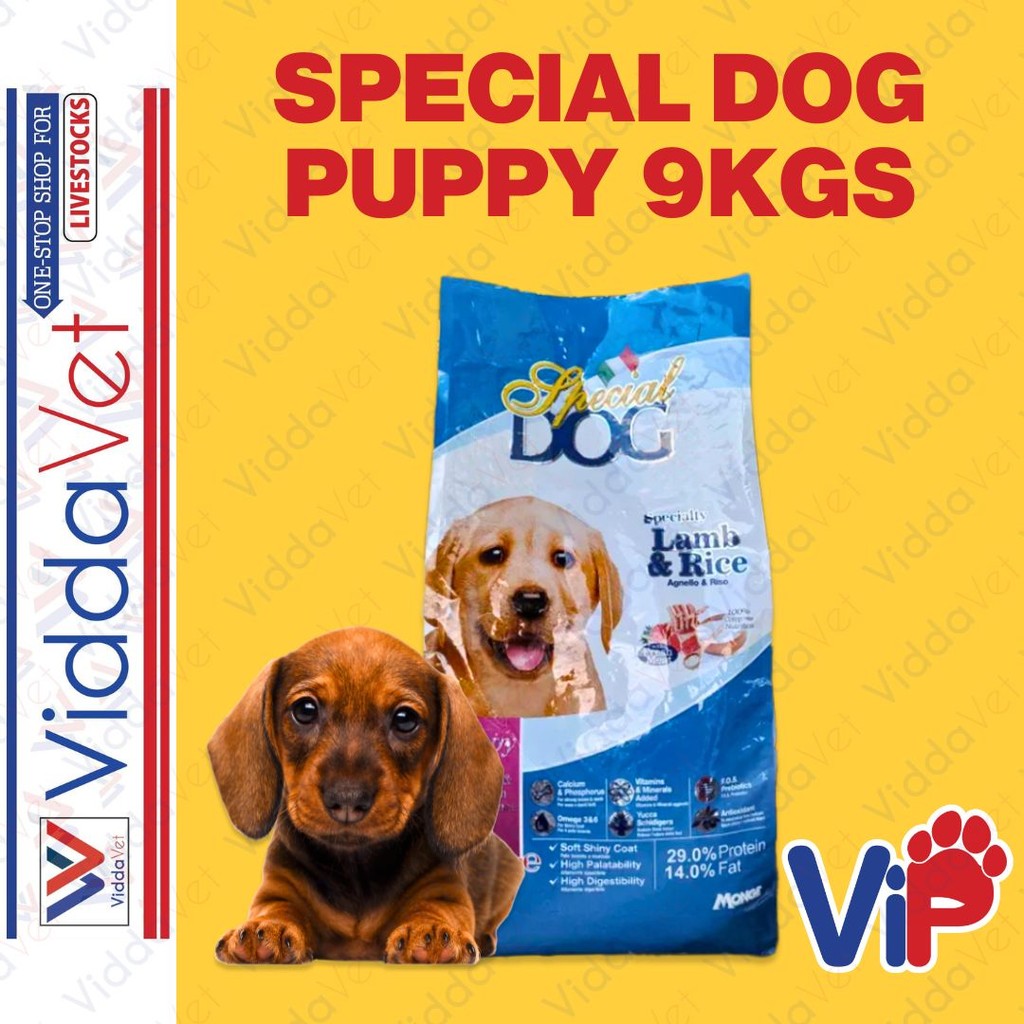 Special Dog Puppy 9KG