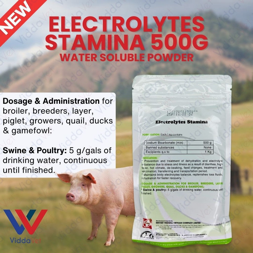 Electrolytes Stamina 500Grams