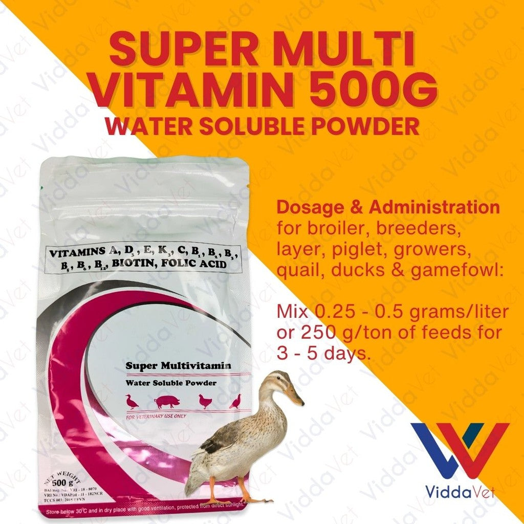 Super Multivitamin 500Grams