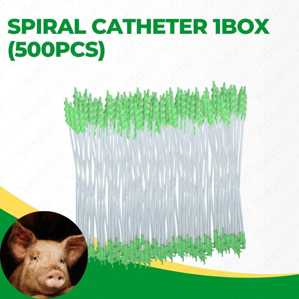 Foam Tip Spiral Catheter 500pcs 1 Box