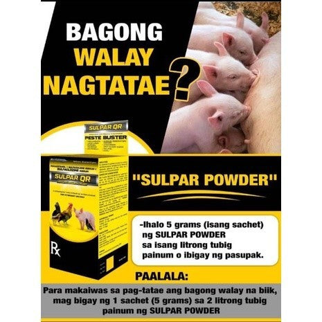 Sulpar QR (50 pcs) 1Box