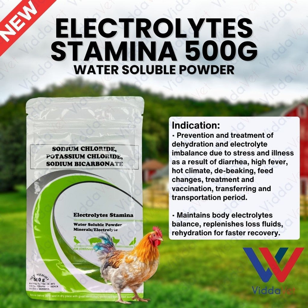 Electrolytes Stamina 500Grams
