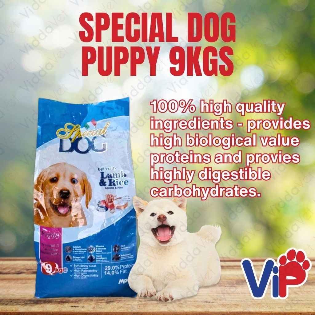 Special Dog Puppy 9KG