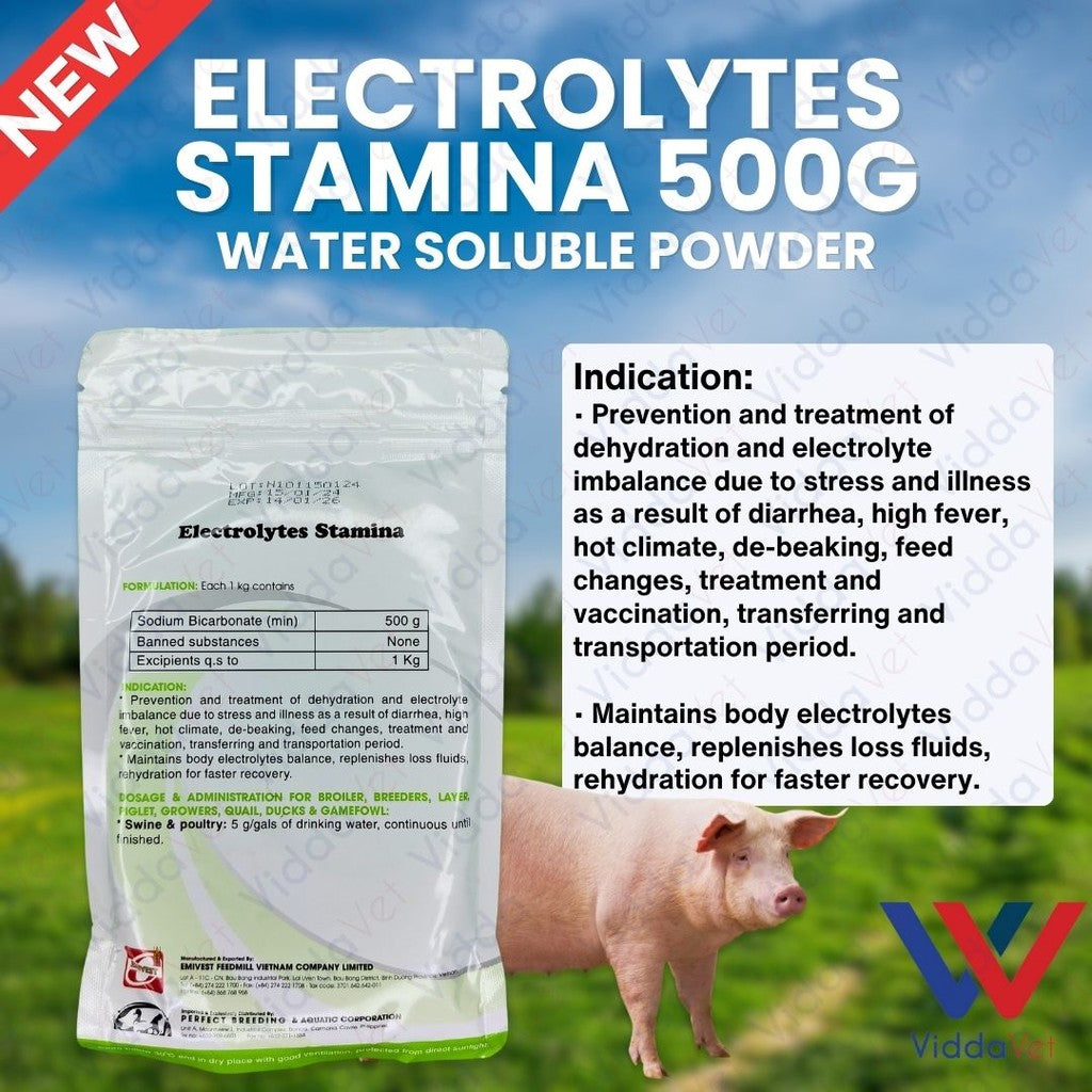 Electrolytes Stamina 500Grams