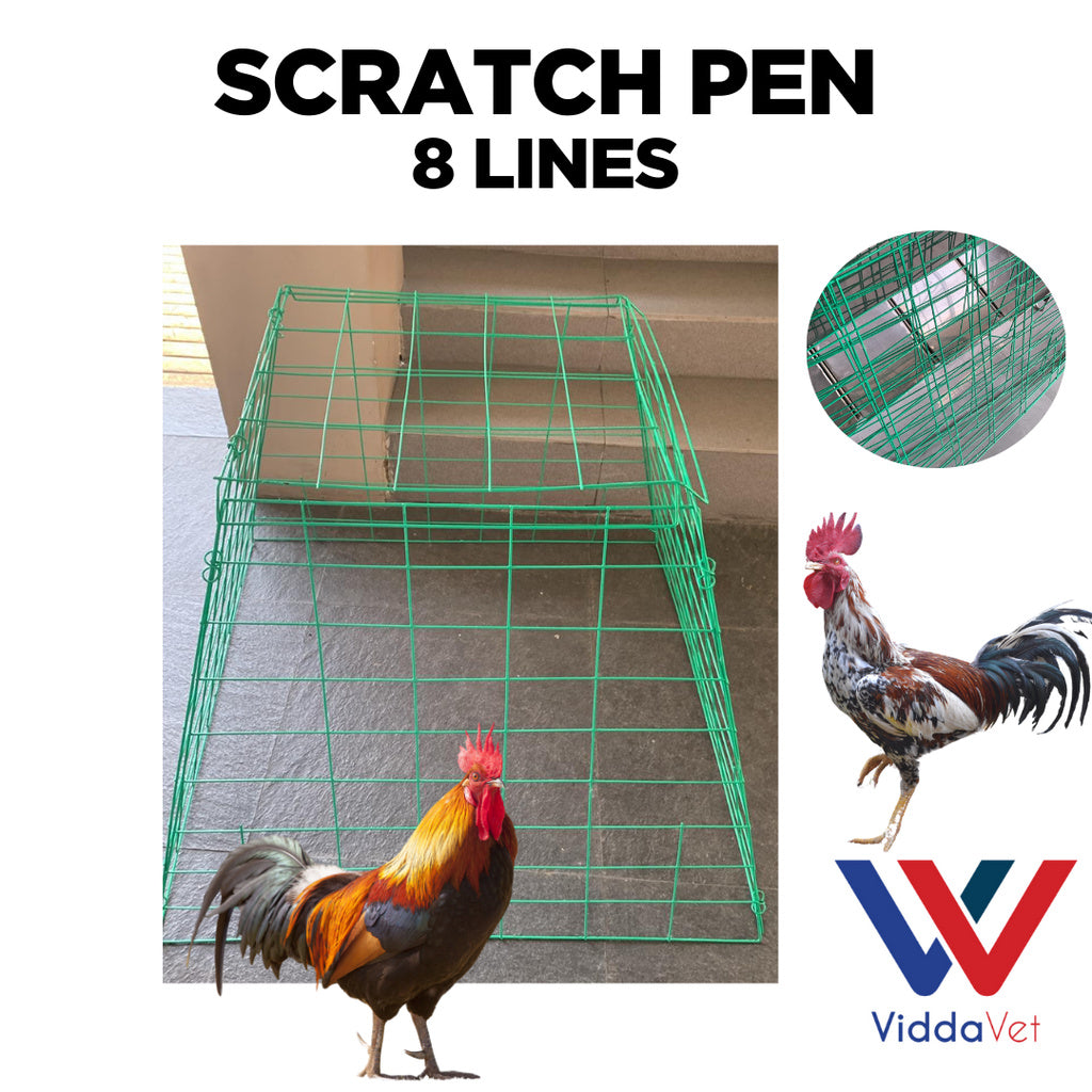 Scratch Pen