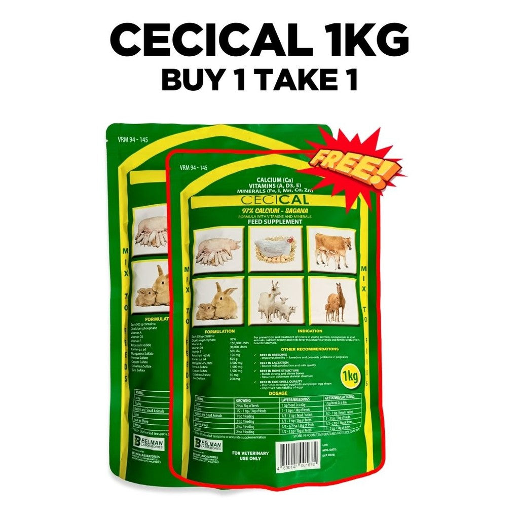 Cecical Powder Buy 1 Take 1 1kg