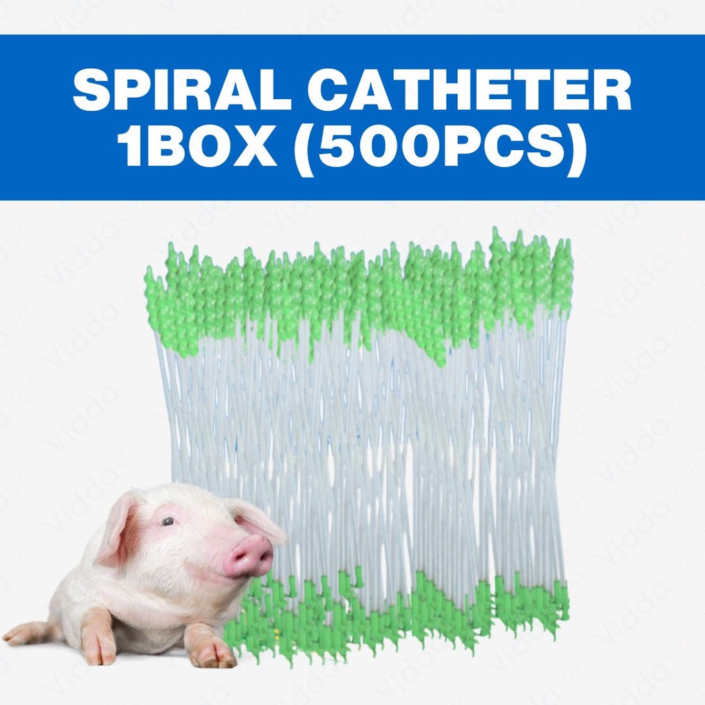 Foam Tip Spiral Catheter 500pcs 1 Box
