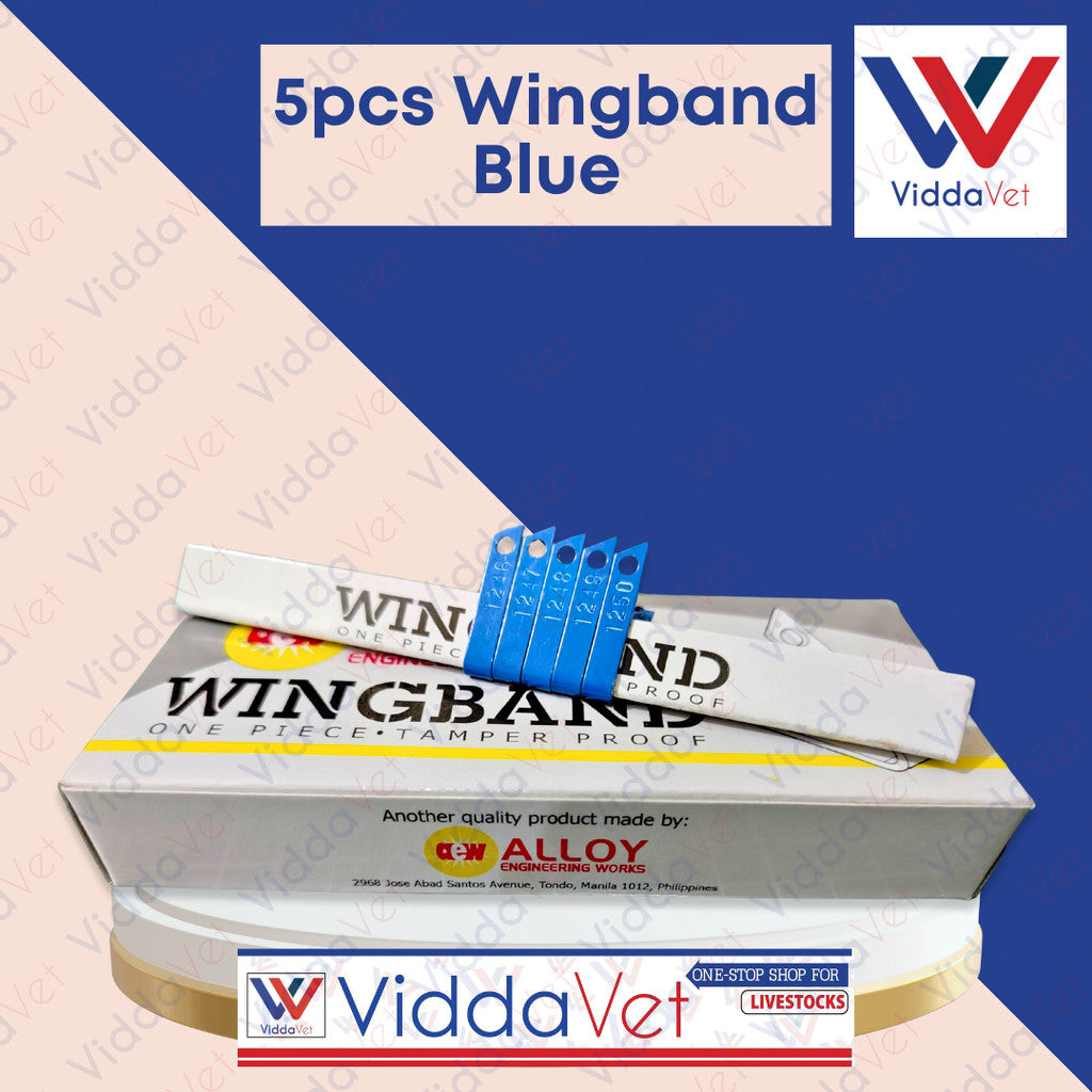 Blue Wingband 5pc