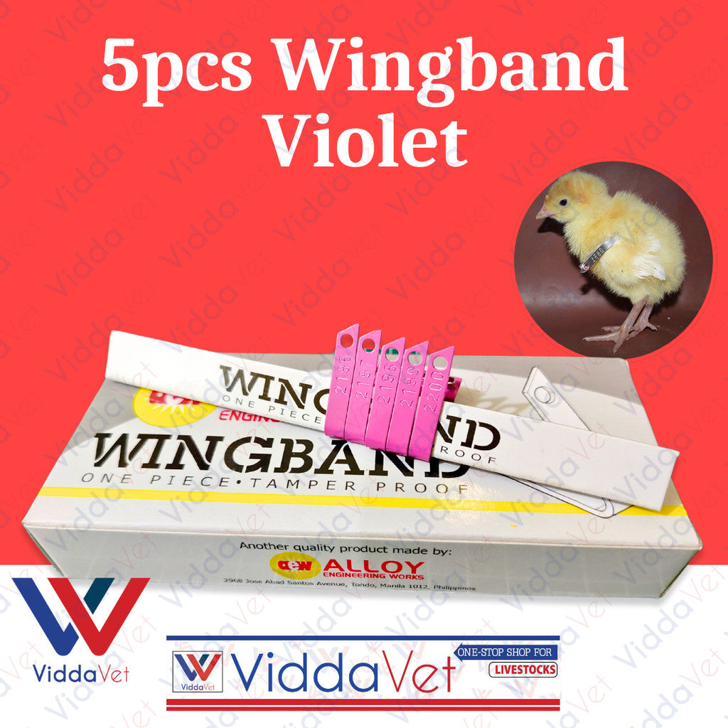 Wing Bands Violet 5pcs