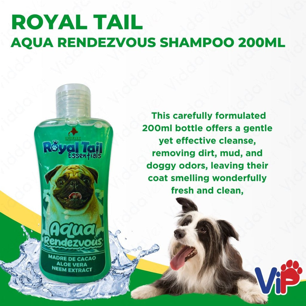 Royal Tail Aqua Rendezvous Shampoo 200ml
