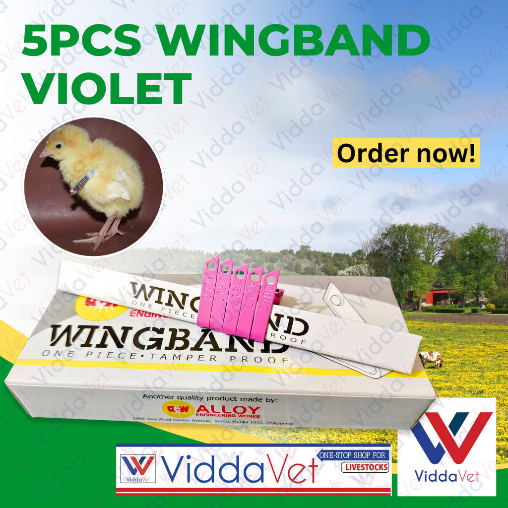 Wing Bands Violet 5pcs