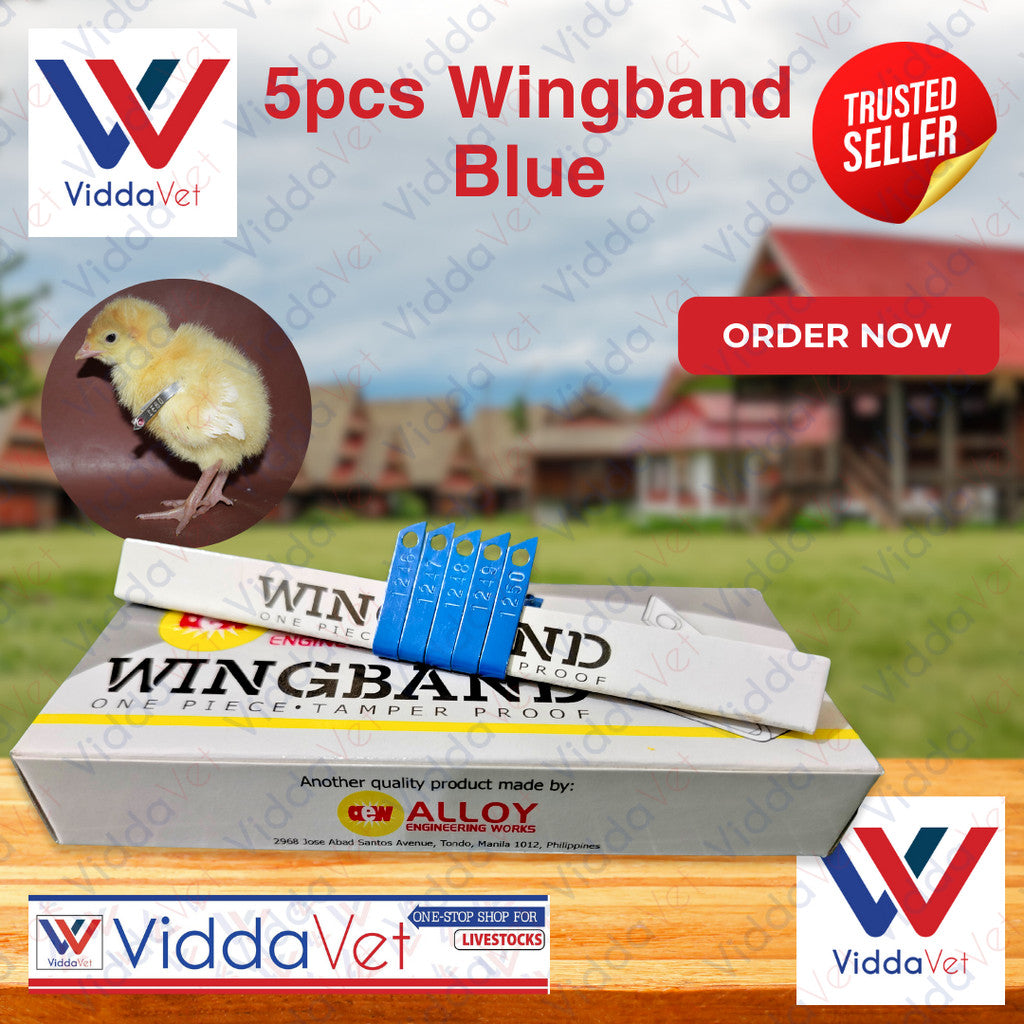 Blue Wingband 5pc