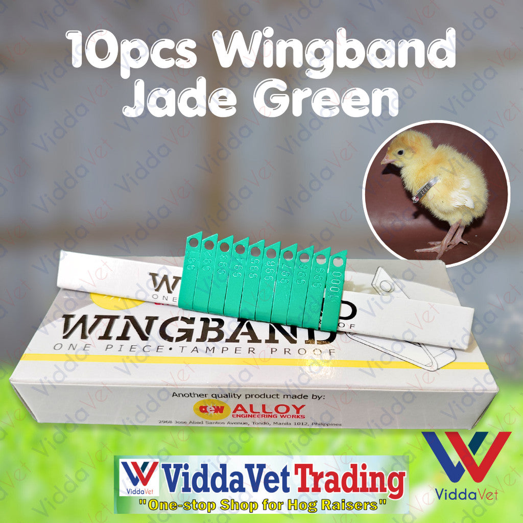 Wing Bands Green 10pcs