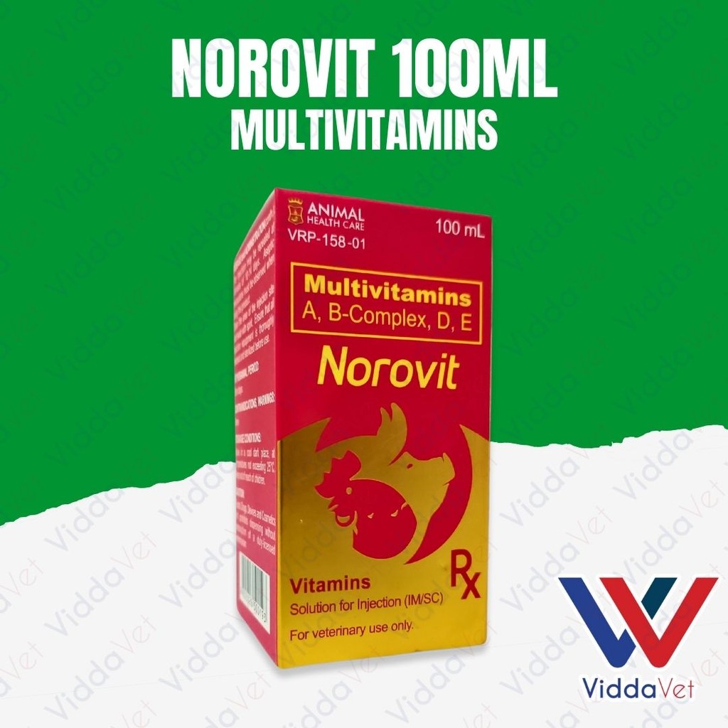 Norovit 100ml