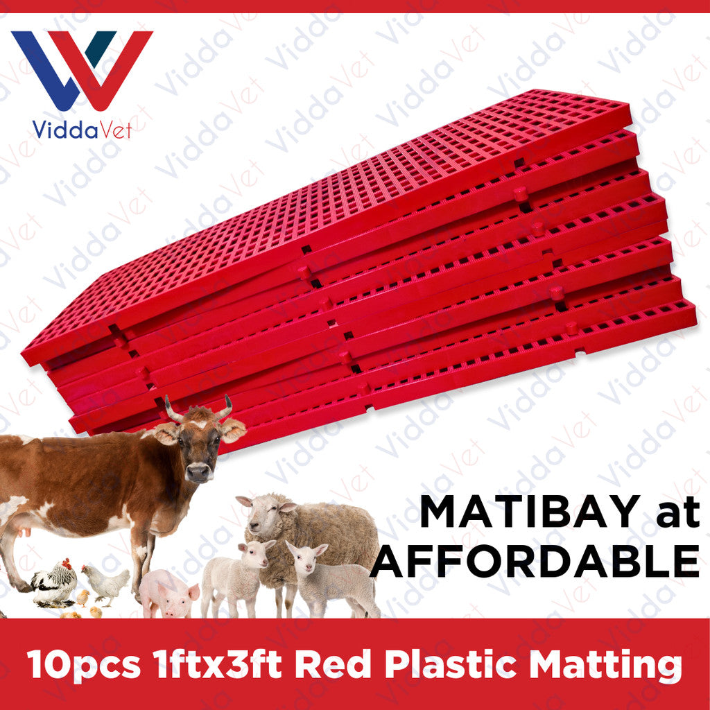 Plastic Mattings Red 1x3 10pcs