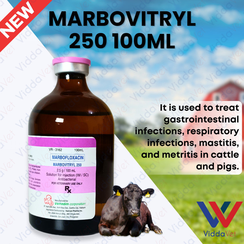 Marbovitryl 250 100ml