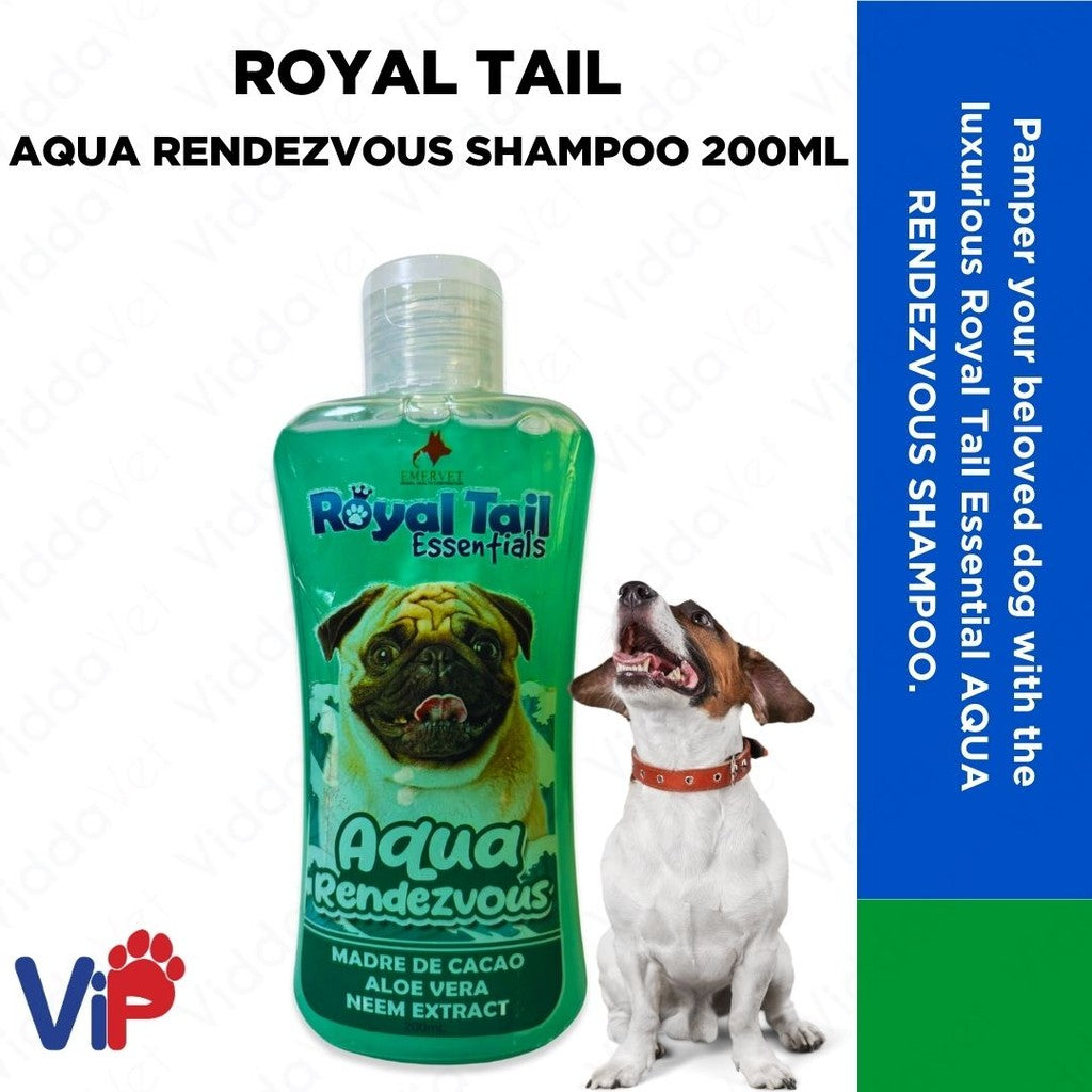 Royal Tail Aqua Rendezvous Shampoo 200ml