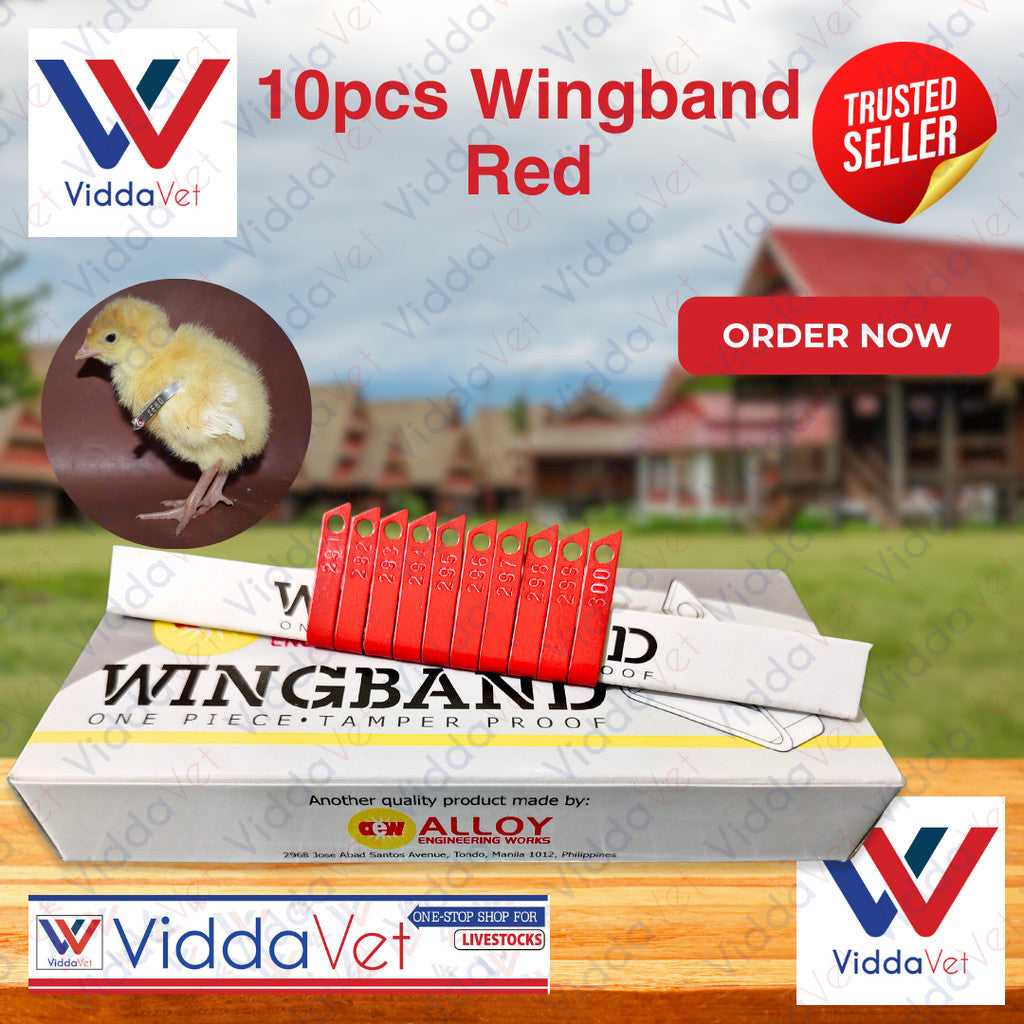 Wing Bands Red 10pcs