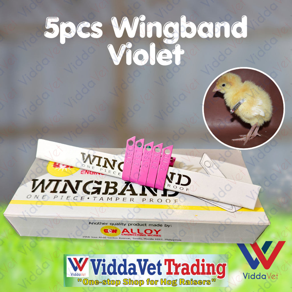 Wing Bands Violet 5pcs