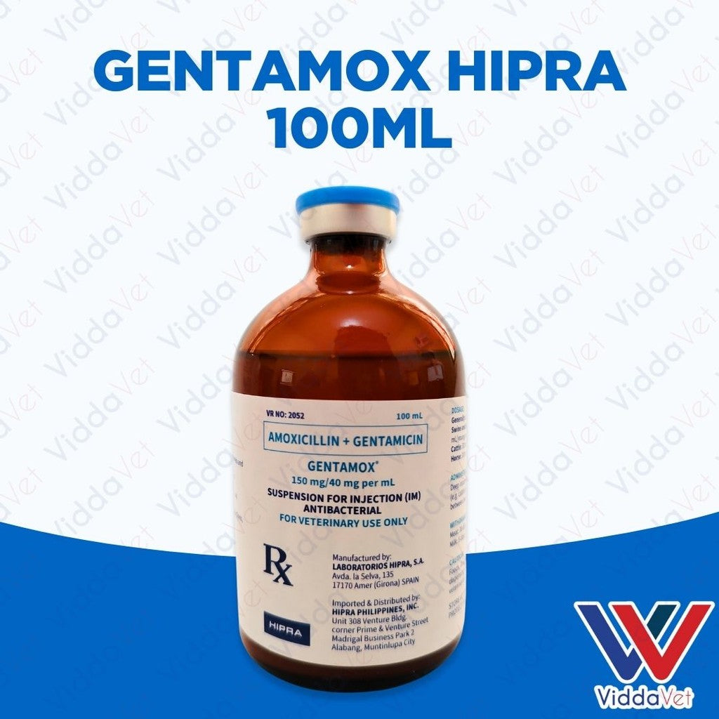 Gentamox Hipra 100ml