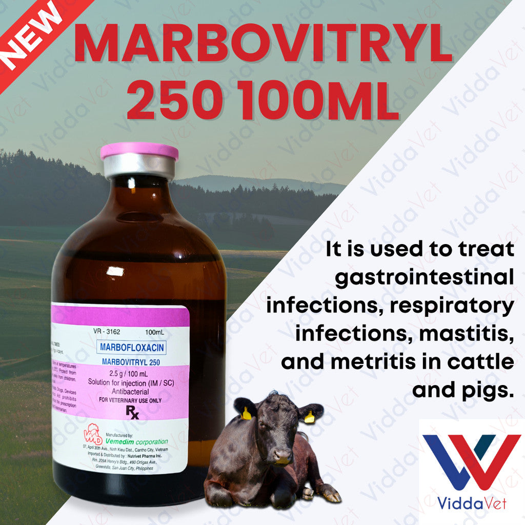 Marbovitryl 250 100ml