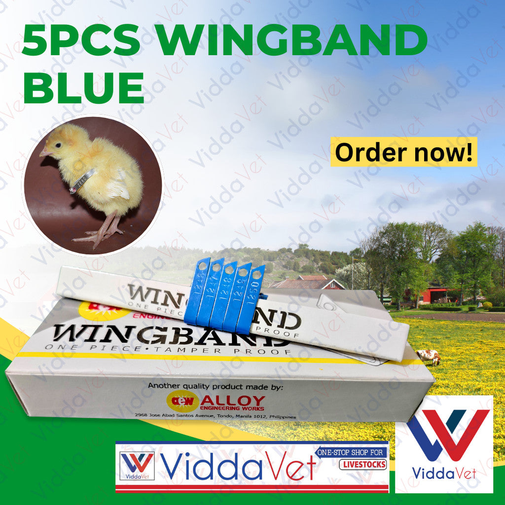Blue Wingband 5pc