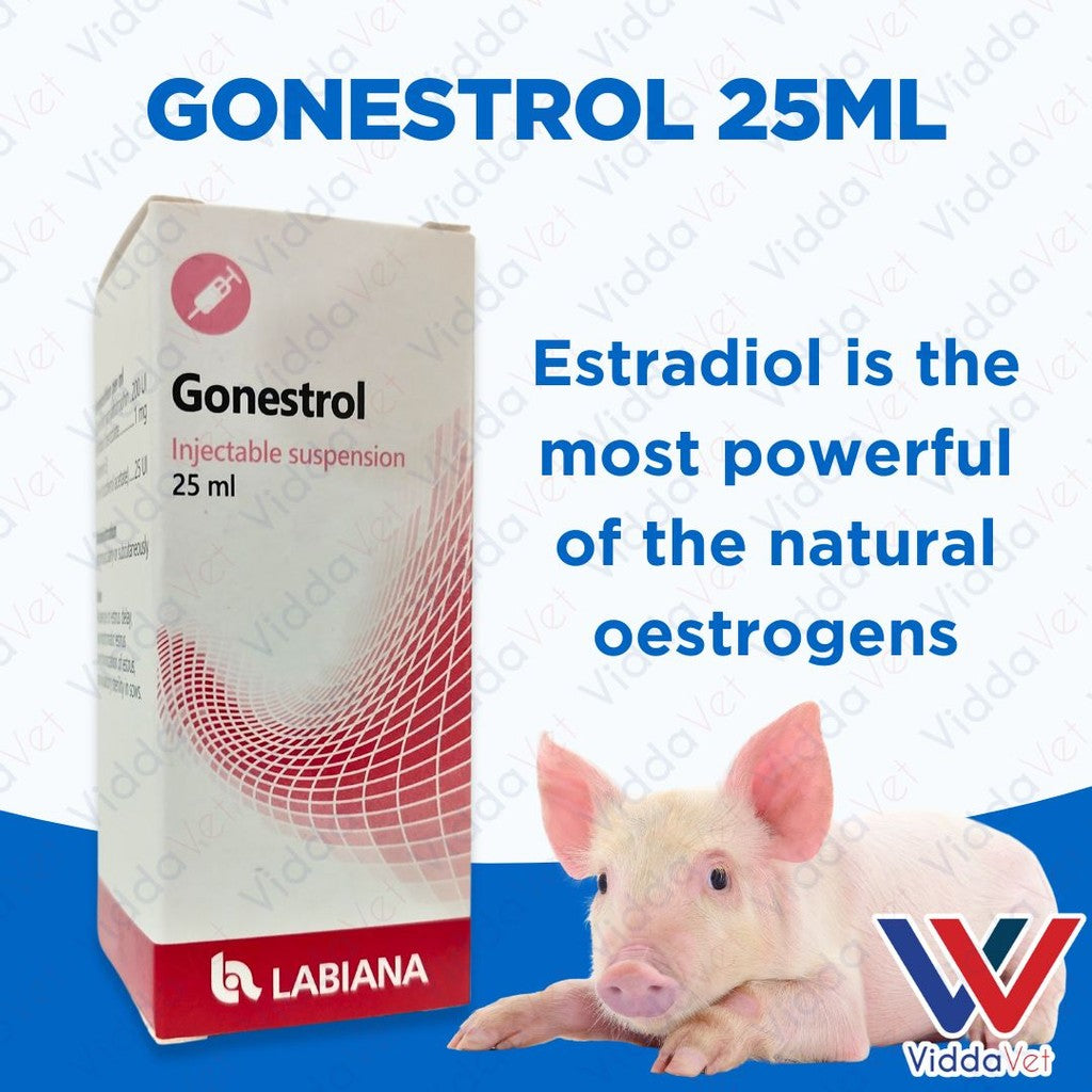 Gonestrol 25ml