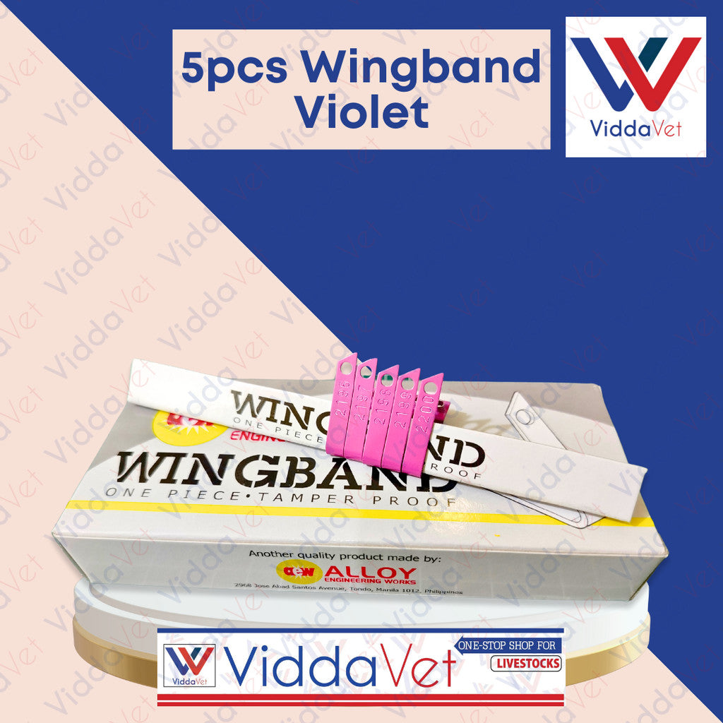 Wing Bands Violet 5pcs