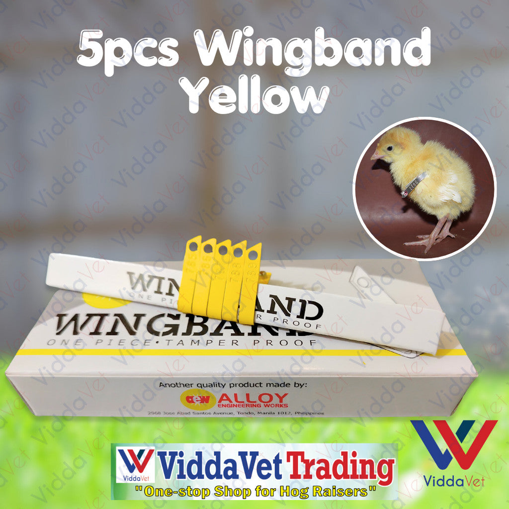 Wing Bands Yellow 5pcs