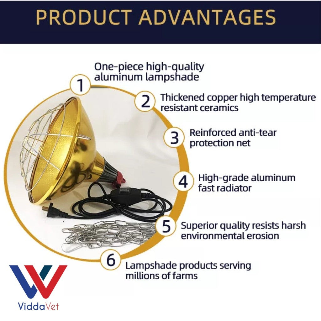 Golden Big Hood and Wiring Heat Lamp 150w and 100w