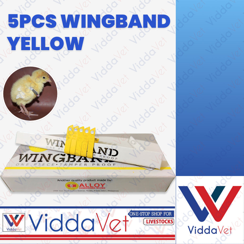 Wing Bands Yellow 5pcs